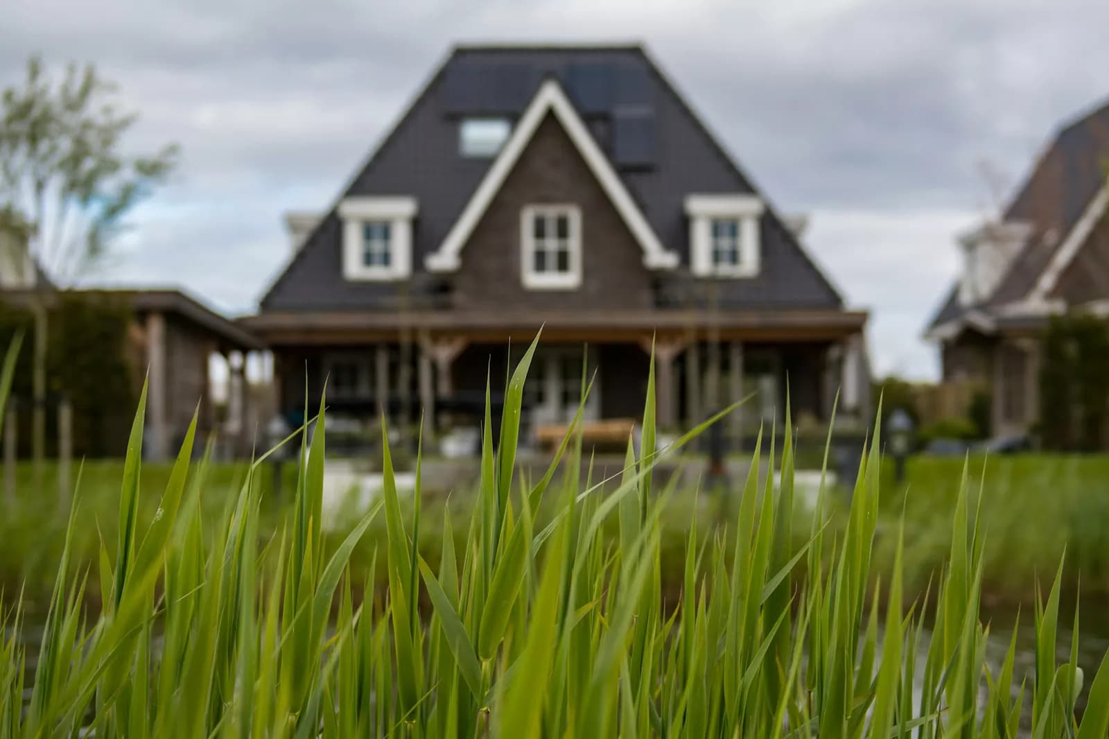 Curb Appeal: Why Renters Say Yes